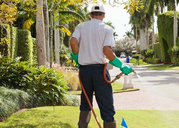 About Zarephath NJ Pest Control Pros
